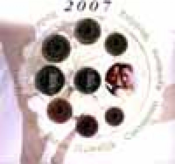 (afbeelding voor) Huwelijks set Nederland 2007 BU uitgave DeRuiter